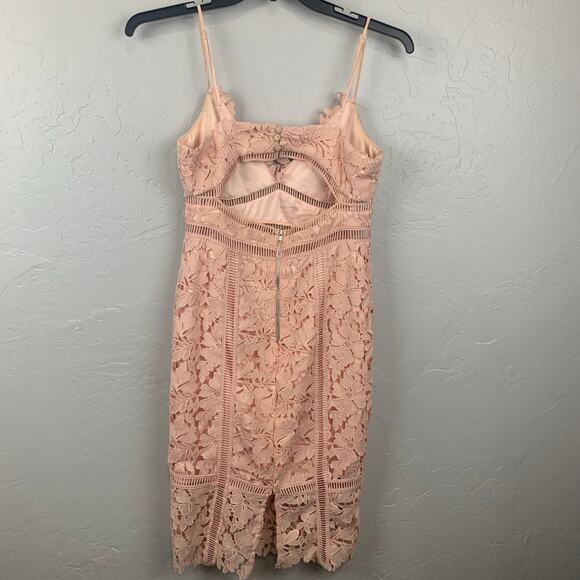 Bardot Botanica Lace Dress Womens Size 6 Pink Sleeveless Sheath Dress Wedding - Picture 4 of 11